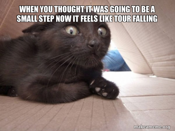 Schitzo Cat meme