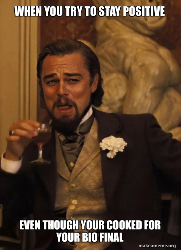 Leonardo DiCaprio Laughing Django meme