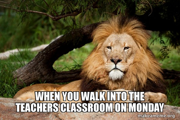 Contemplative Lion meme