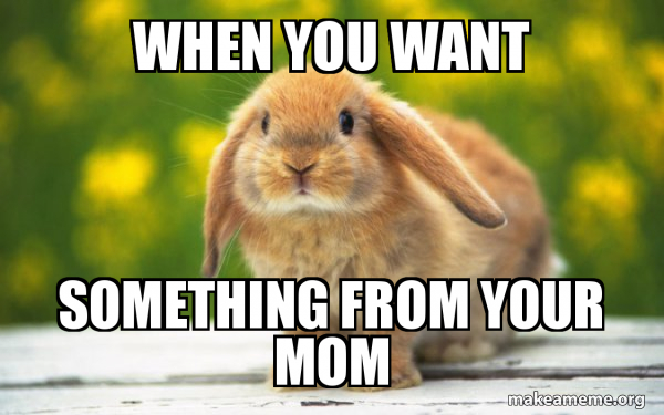 Regretful Rabbit meme