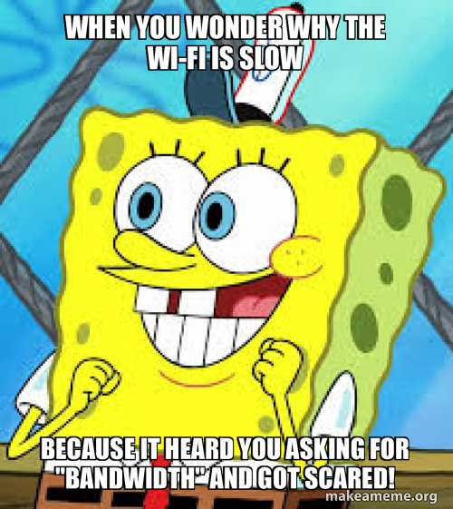 When you wonder why the Wi-Fi is slow Because it heard you asking for ...