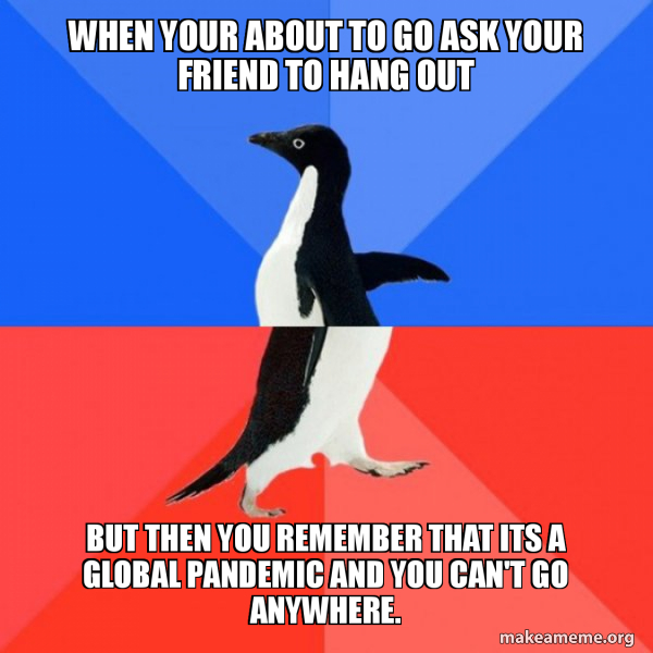 Socially Awkward Awesome Penguin meme