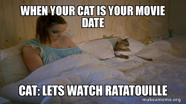 I should have bought the boat meme