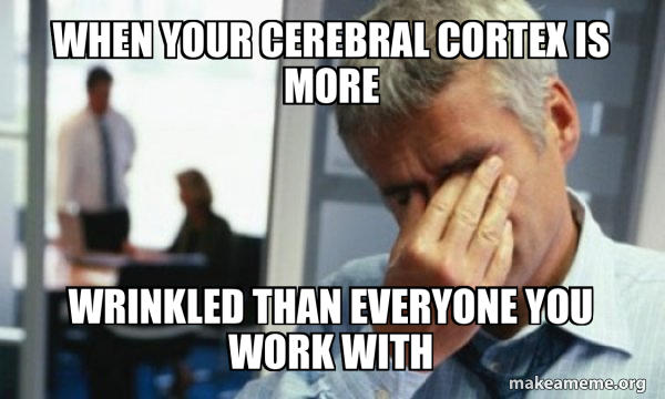 WHEN YOUR CEREBRAL CORTEX IS MORE WRINKLED THAN EVERYONE YOU WORK WITH ...