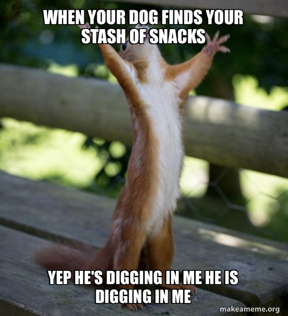 When your dog finds your stash of snacks Yep he's digging in me he is ...