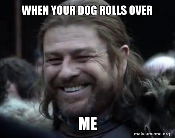 Happy Ned Stark Meme meme