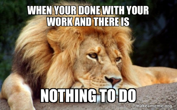 Confession Lion meme