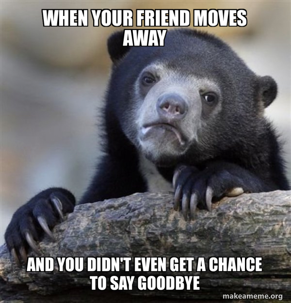 Confession Bear meme
