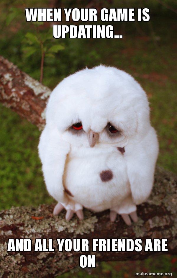 When Your Game Is Updating And All Your Friends Are On Sad Owl Make A Meme