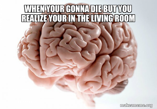 Scumbag Brain meme