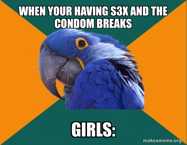 Paranoid Parrot meme