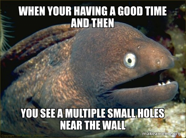 Bad Joke Eel meme