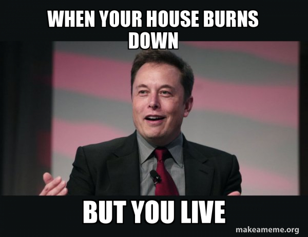 Elon Musk meme