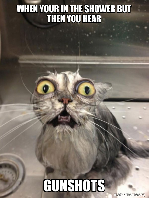 when your in the shower but then you hear gunshots Cat bath Meme