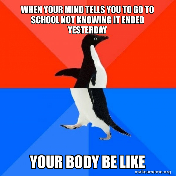 Socially Awesome Awkward Penguin meme