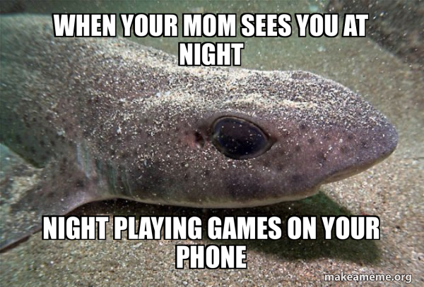 Dirty Joke Dogfish meme