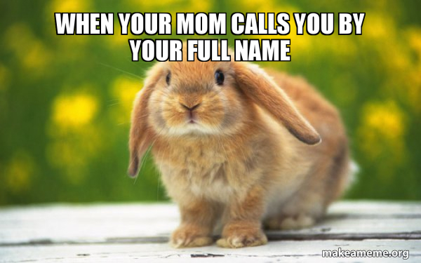 Regretful Rabbit meme