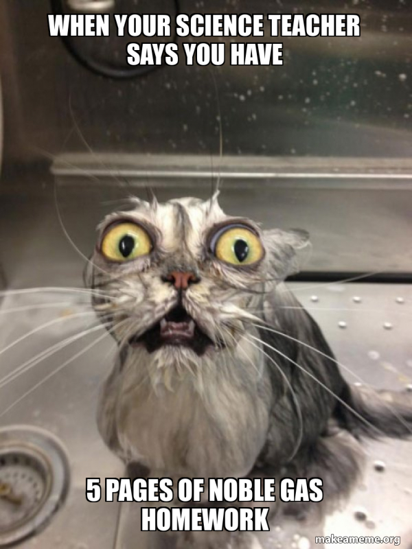 Cat bath meme