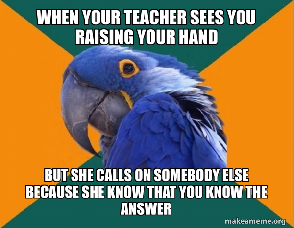 Paranoid Parrot meme