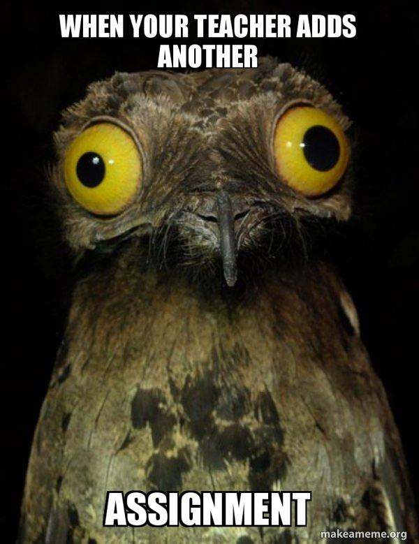 When your teacher adds another assignment - Weird Stuff I do Potoo Meme ...