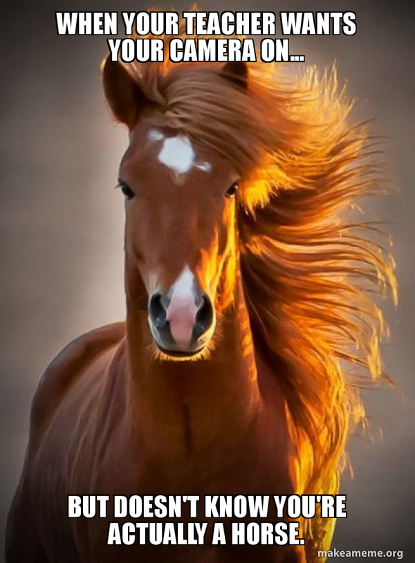 Ridiculously photogenic horse meme