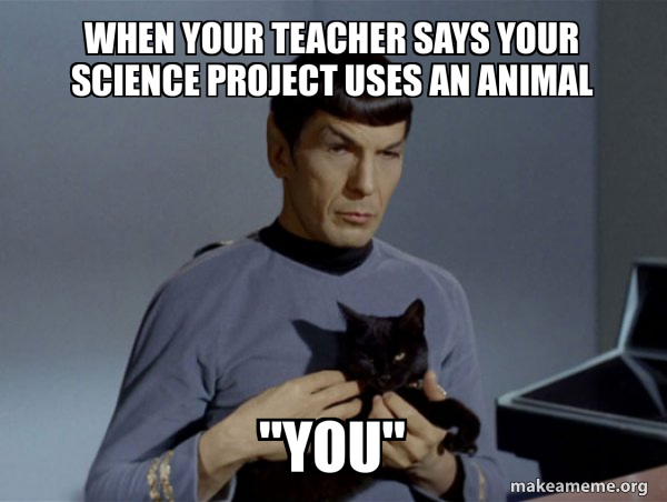 Spock and Cat Meme meme