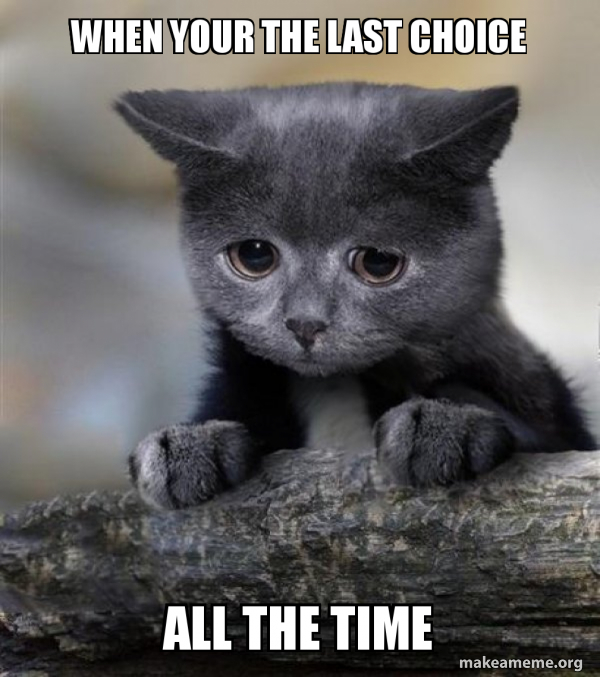 when your the last choice all the time - Confession Cat Meme Generator