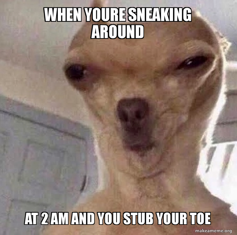When You Stub Your Toe Meme