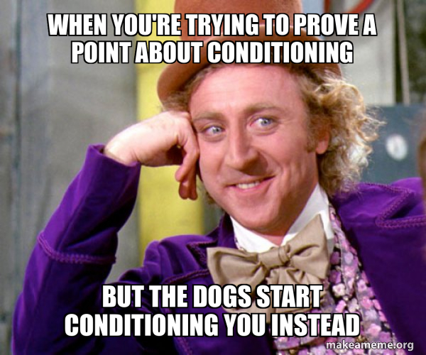 Willy Wonka Sarcasm Meme meme