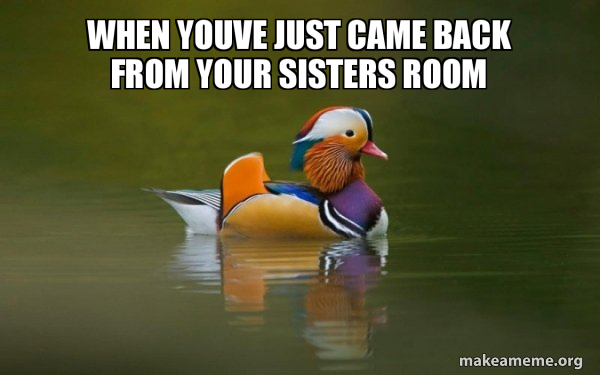 Fashionable Advice Mallard meme