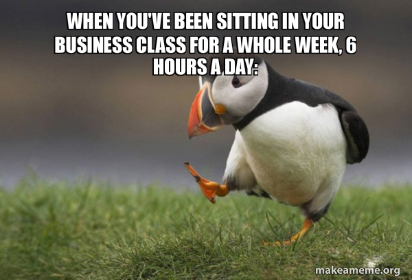 Unpopular Opinion Puffin meme