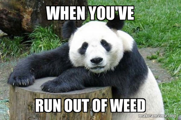 Confession Panda meme