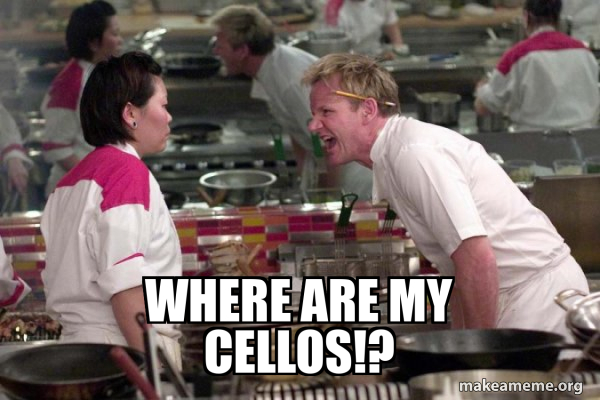 Gordon Ramsay meme