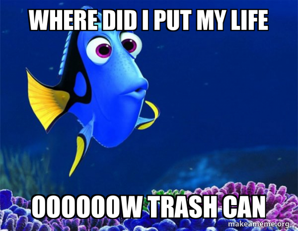 Dory from Nemo  (5 second memory) meme