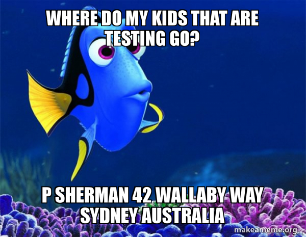 Dory from Nemo  (5 second memory) meme