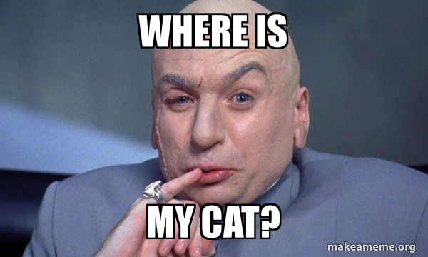 WHERE IS MY CAT You Complete Me Make A Meme