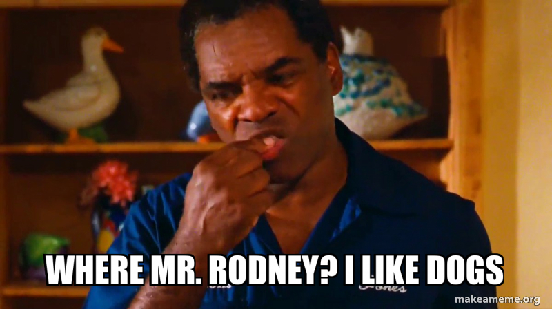Rodney Rude Memes WHERE MR. RODNEY? I LIKE DOGS Meme Generator