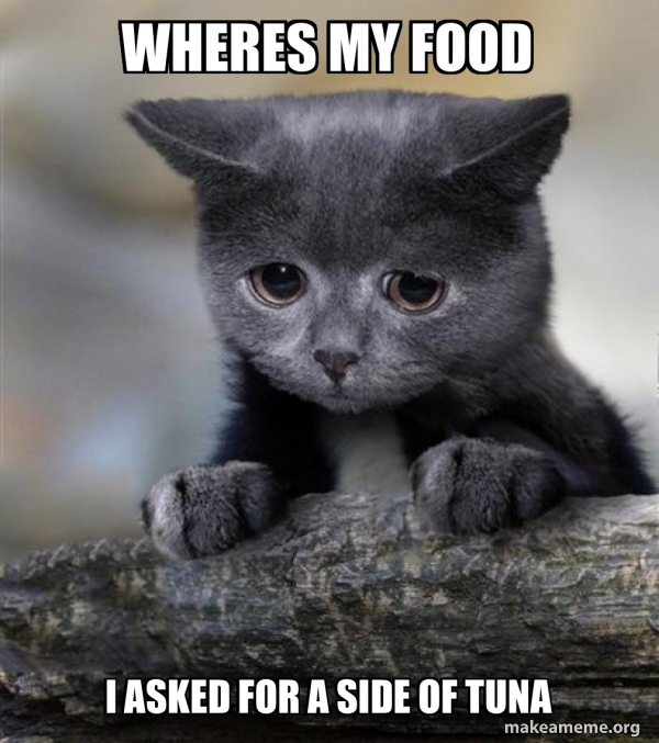 wheres my food i asked for a side of tuna Confession Cat Meme Generator