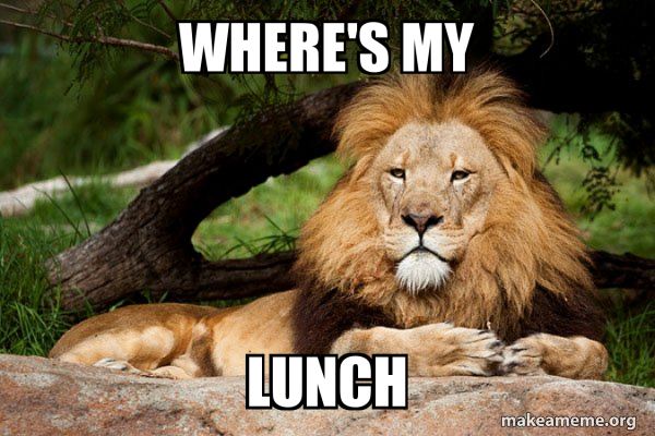 Contemplative Lion meme