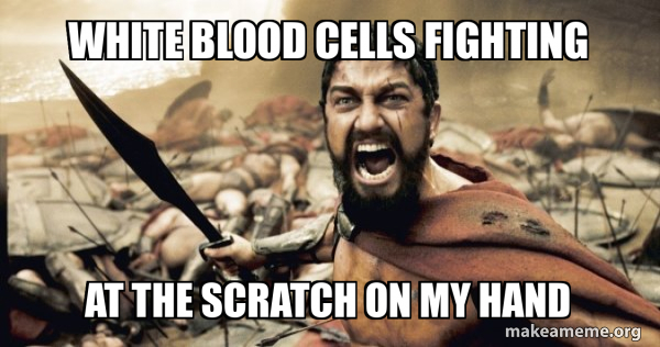 The 300 meme