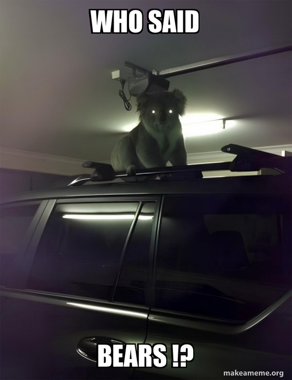 Drop Bear meme