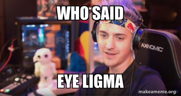 Ninja Tyler Blevins meme