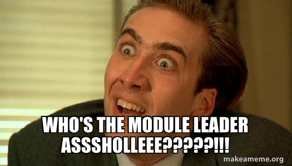 WHO'S THE MODULE LEADER ASSSHOLLEEE?????!!! - Sarcastic Nicholas Cage ...