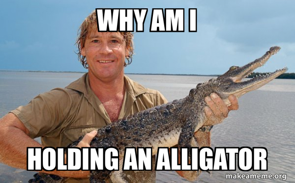 Steve irwin meme