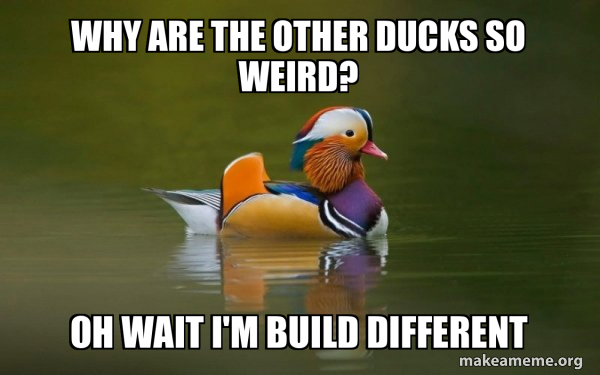 Fashionable Advice Mallard meme