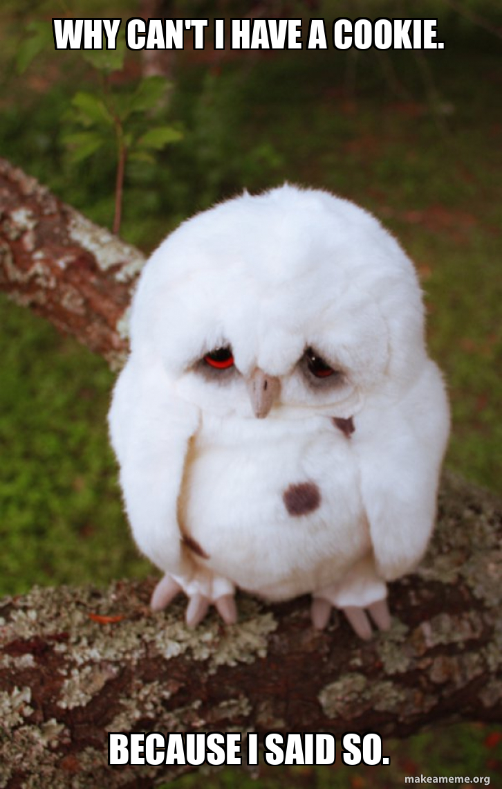 Sad Owl meme