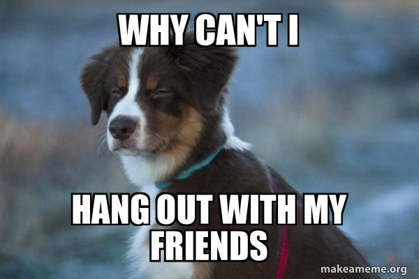 Unsure Dog meme