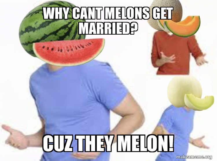 Why cant melons get marRied? Cuz they melon! Meme Generator