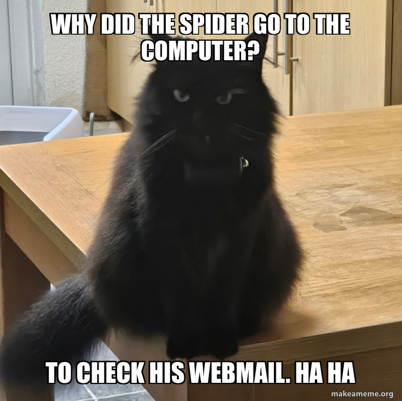 Spider Meme Computer Kill Why did the spider go to the computer? To check his webmail. Ha ha Meme ...