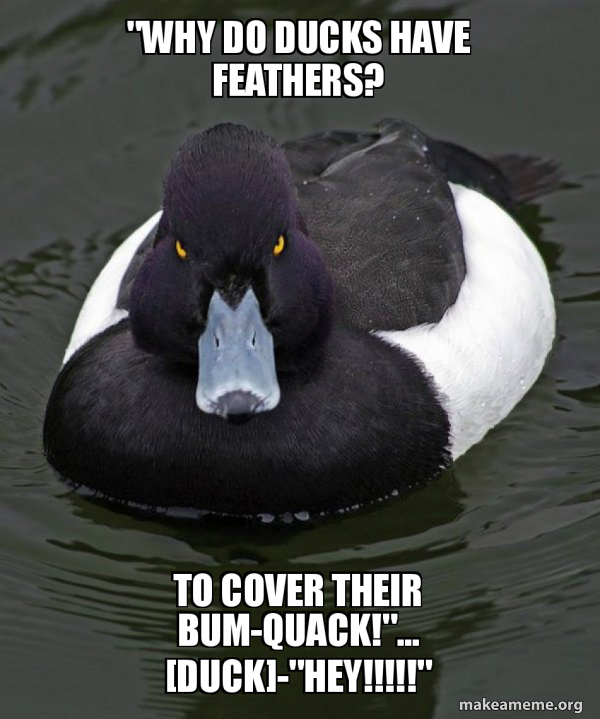 "why do ducks have feathers? to cover their bumquack!"... [duck]"hey